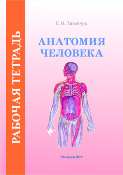 Тихончук, Г. Н. Рабочая тетрадь по курсу «Анатомия человека»