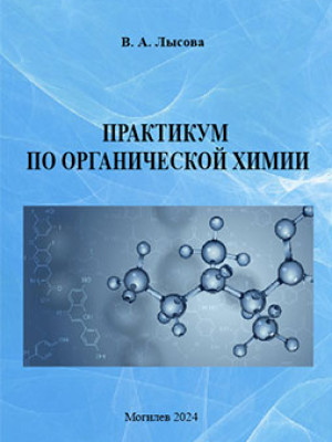 Практикум по органической химии : учебно-методические материалы / В. А. Лысова